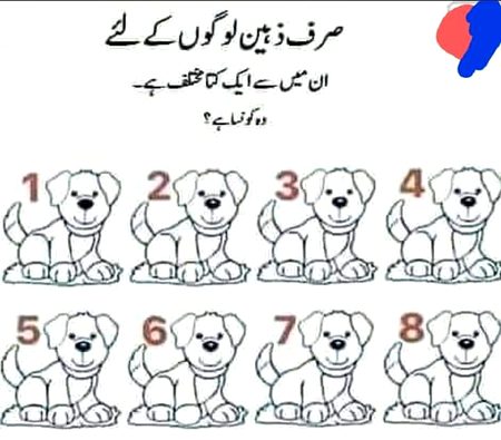 Knowledge Test image