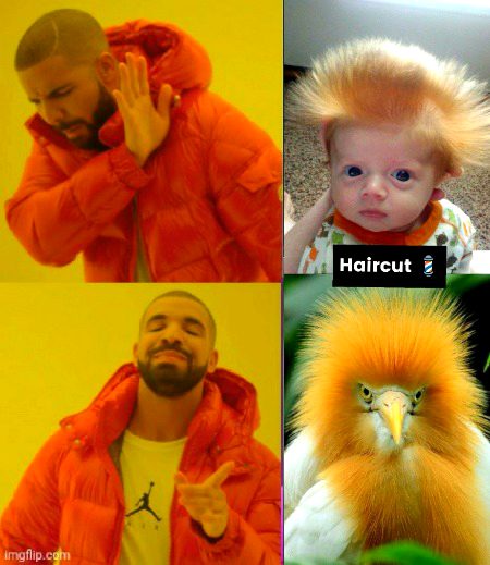 Memes & Satire image