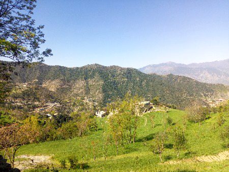 Beautiful Nature image