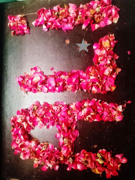 😶😶😶😶😶😶