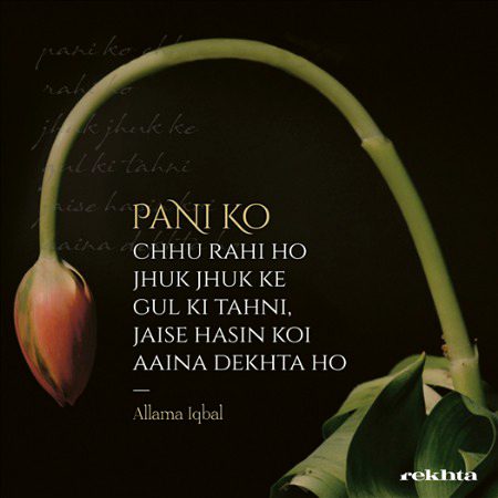 Romantic Poetry image