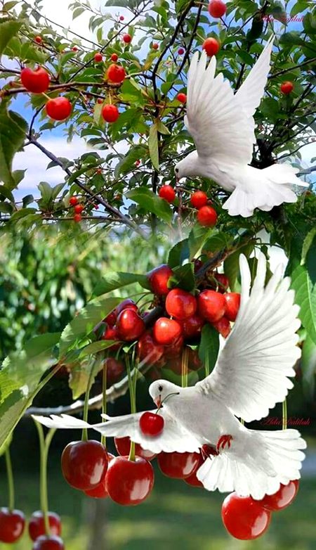 Beautiful Nature image