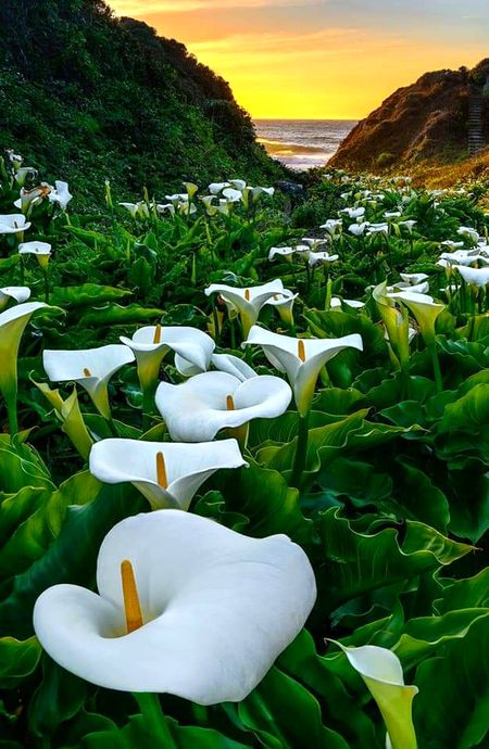 Beautiful Nature image