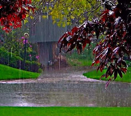 Beautiful Nature image