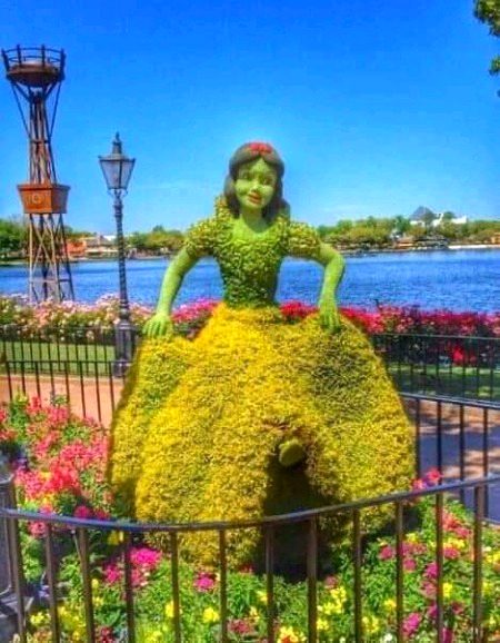 Beautiful Nature image