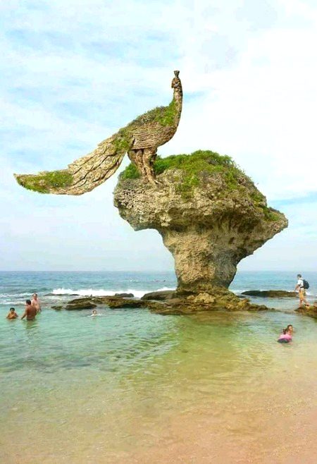 Beautiful Nature image