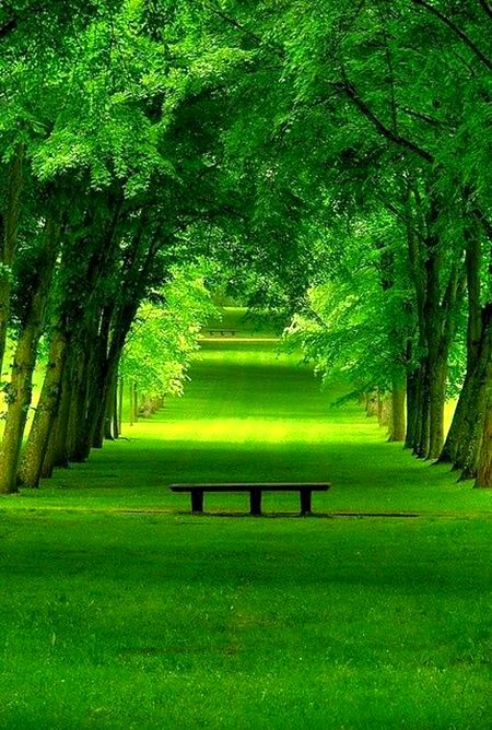 BEAUTIFUL NATURE