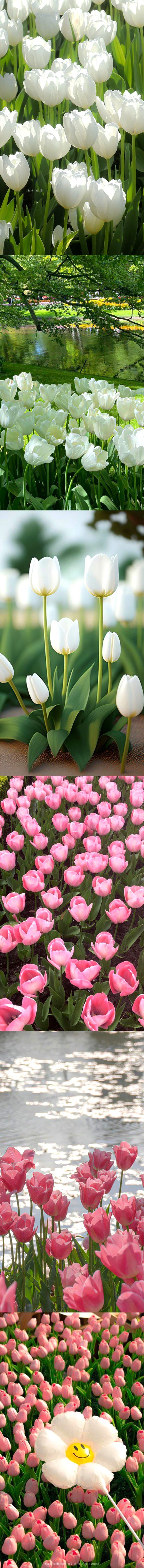 Beautiful Nature image