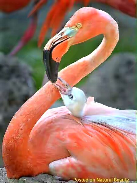 Beautiful Nature image