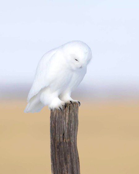 Beautiful Nature image
