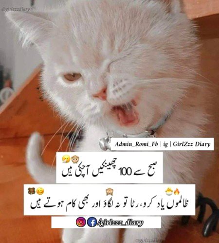 Jokes image