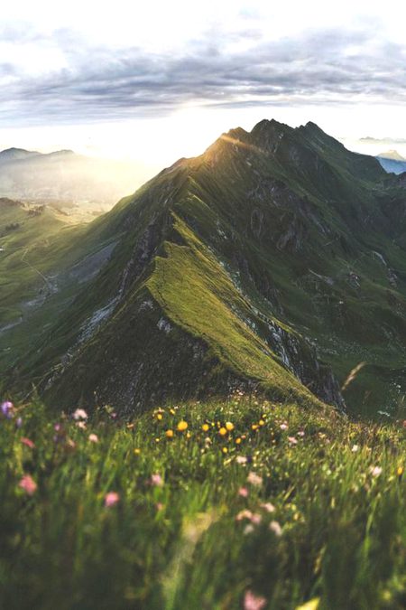 Beautiful Nature image