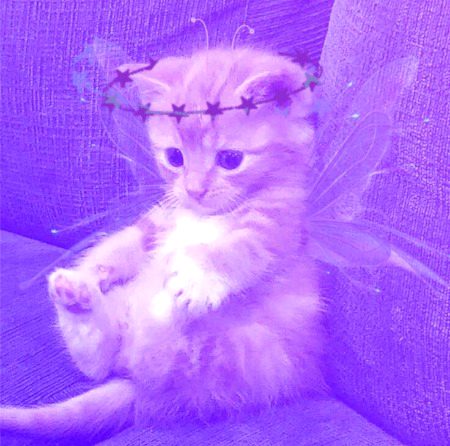 Beautiful Nature image