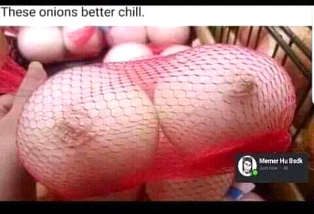 who likes onion ๏_๏