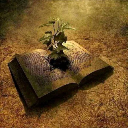 کیا تیرے ہاتھ بھی چاہت میں یہی کُچھ آیا پُھول سوکھے ہوئے تحریر پُرانی کوئی