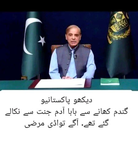 Memes & Satire image