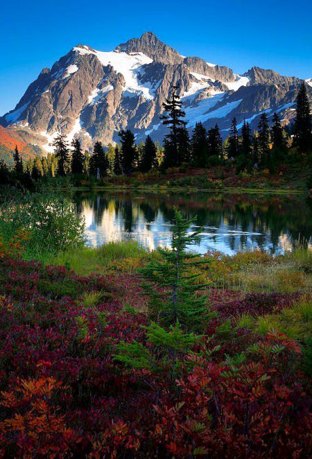 Beautiful Nature image