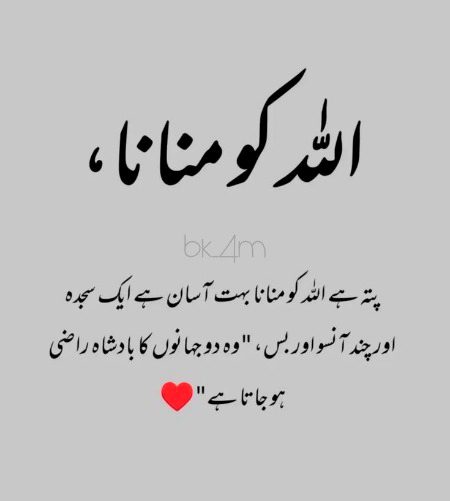 Islamic Quotes image