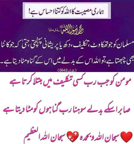 بیشک 🌹🍀🌹🍀🌹🍀