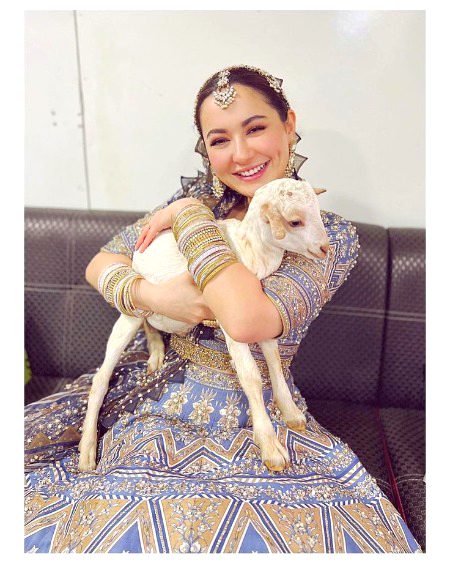 Pakistani Celebs image