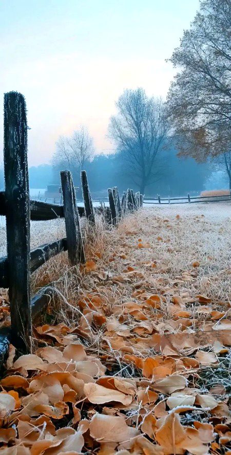 Beautiful Nature image