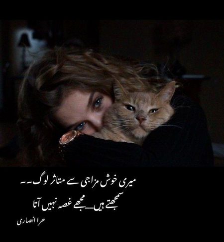 Attitude Poetry image