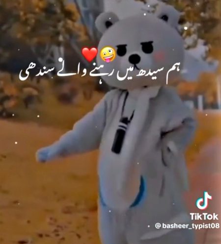 Mehman Nawaz hen sary