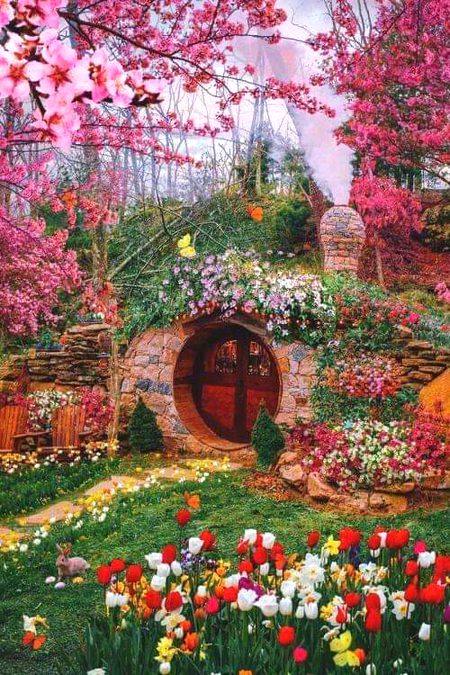 Beautiful Nature image