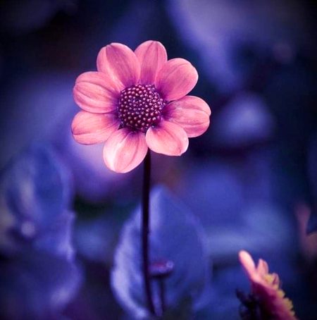 سوچ, سوالی کر جاتے ہیں
صبحیں, کالی کر جاتے ہیں
سائیاں چھوڑ کے جانے والے
آنکھیں, خالی کر جاتے ہیں