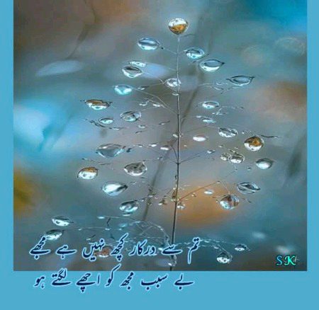 Beautiful Nature image