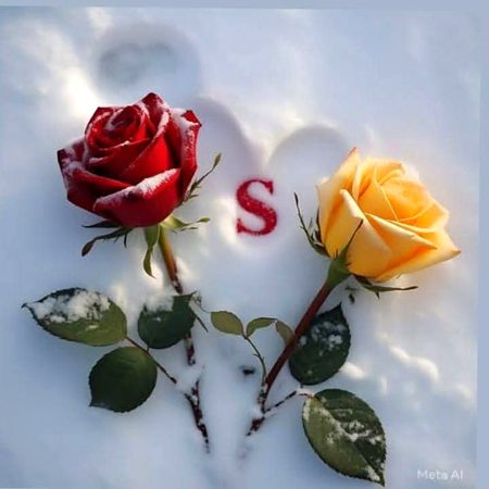 Beautiful Nature image