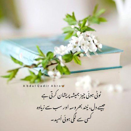 RIGHT✨✔