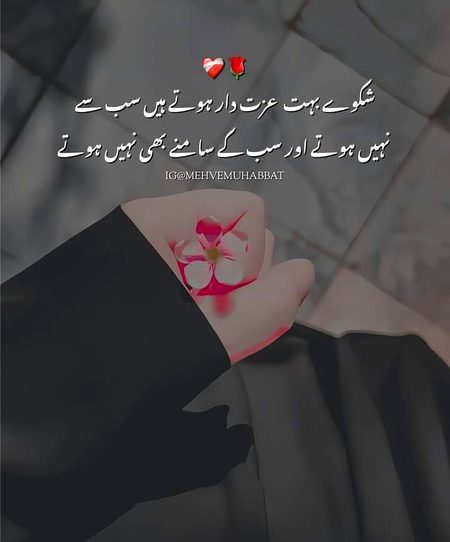 Attitude Quotes image