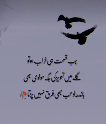Sab naseeb ka kheel hota hy. Like