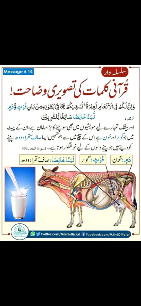 فَبِأَيِّ آلَاءِ رَبِّكُمَا تُكَذِّبَانِ