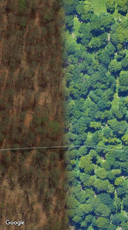 Beautiful Nature image