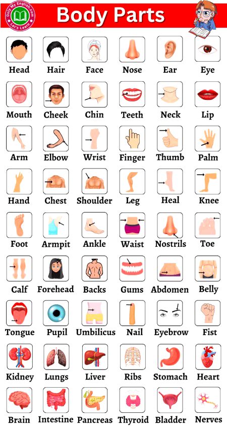 Tips for Students image