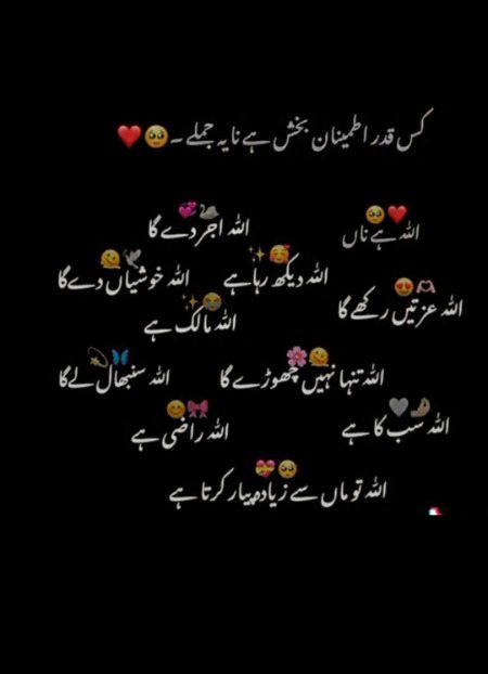 Kitne pyare jumle hay na ?