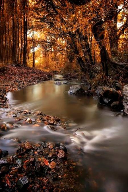 Beautiful Nature image