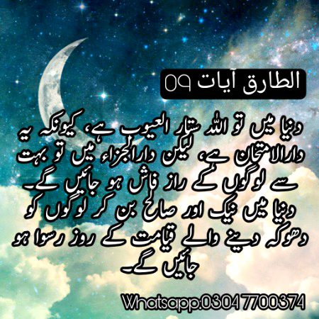 Islamic Quotes image