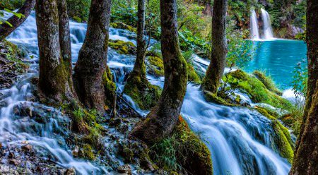 Beautiful Nature image