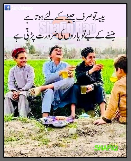 Memes & Satire image
