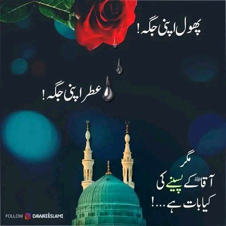 Islamic Quotes image