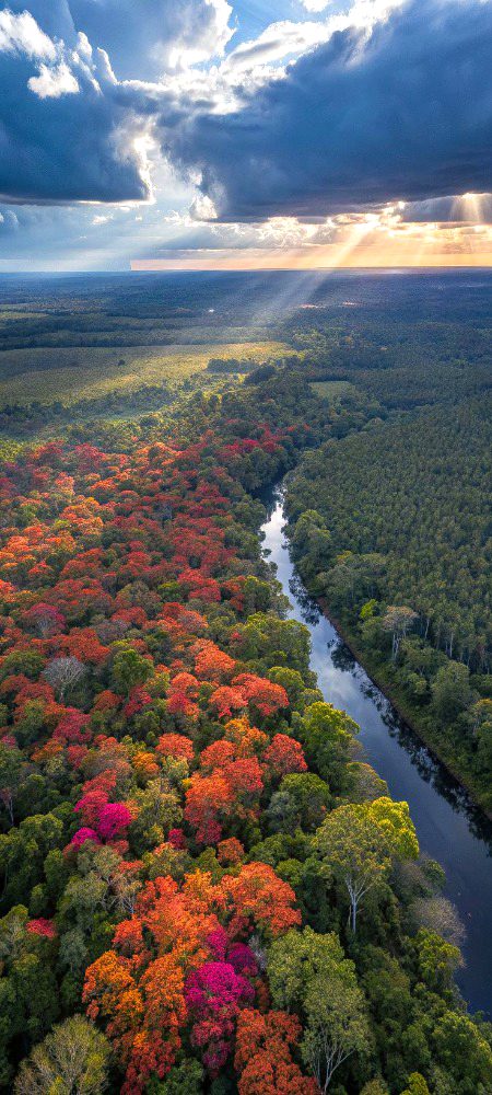 Beautiful Nature image