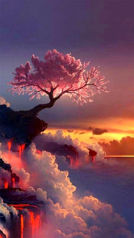 Beautiful Nature image