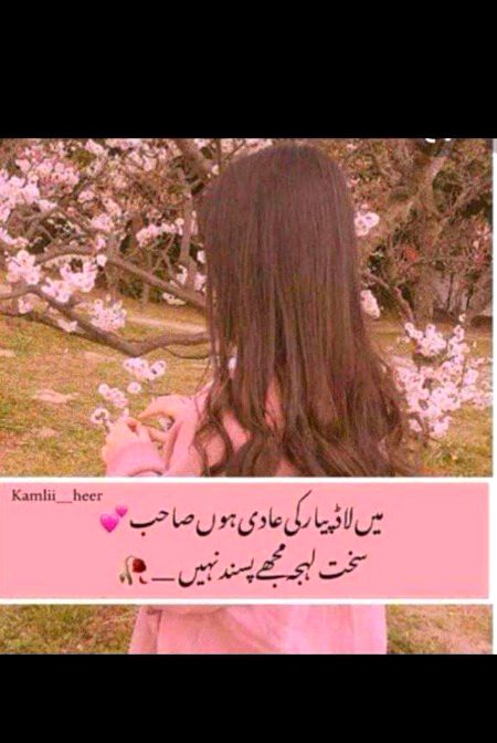 Attitude Poetry image