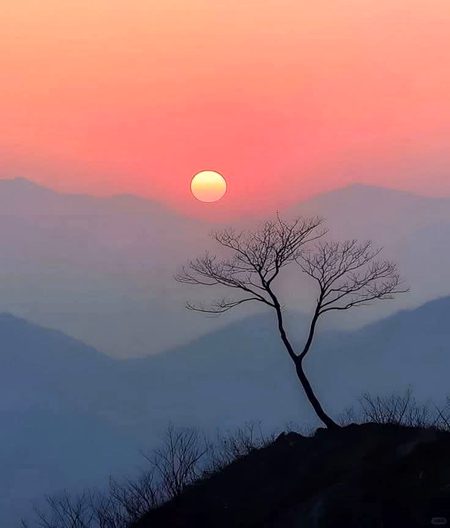 Beautiful Nature image