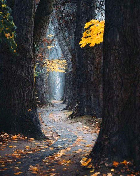 Beautiful Nature image