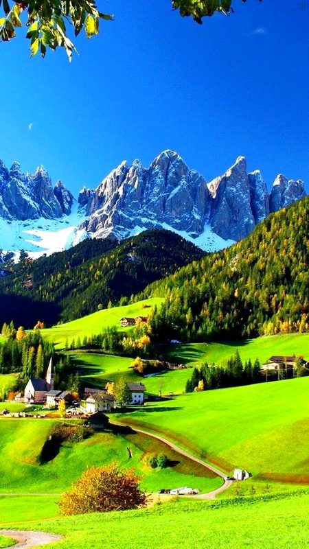 Beautiful Nature image