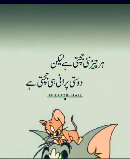 Life Advice image